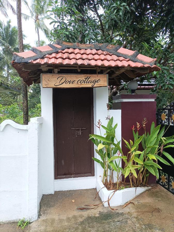 Dove Cottage Cherai Beach Εξωτερικό φωτογραφία