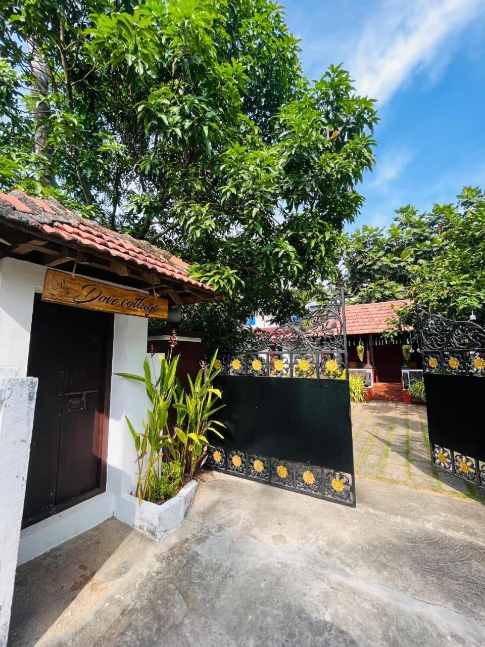 Dove Cottage Cherai Beach Εξωτερικό φωτογραφία